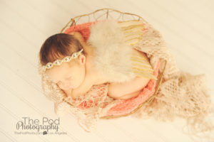 baby portrait studio