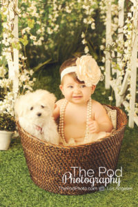 Dog-And-Baby-In-Bucket-Portraits-Mar-Vista