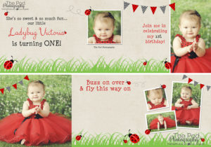 First_Birthday_Ladybug_Invitation_Los_Angeles