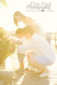 family all looking at a flower with bright sunlight behind them