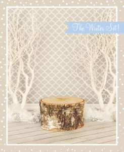 Full-Service-Portrait-Studio-Custom-Sessions-Sets-Props-Accessories-Outfits-Winter-Photo-Set-Kids-Photography