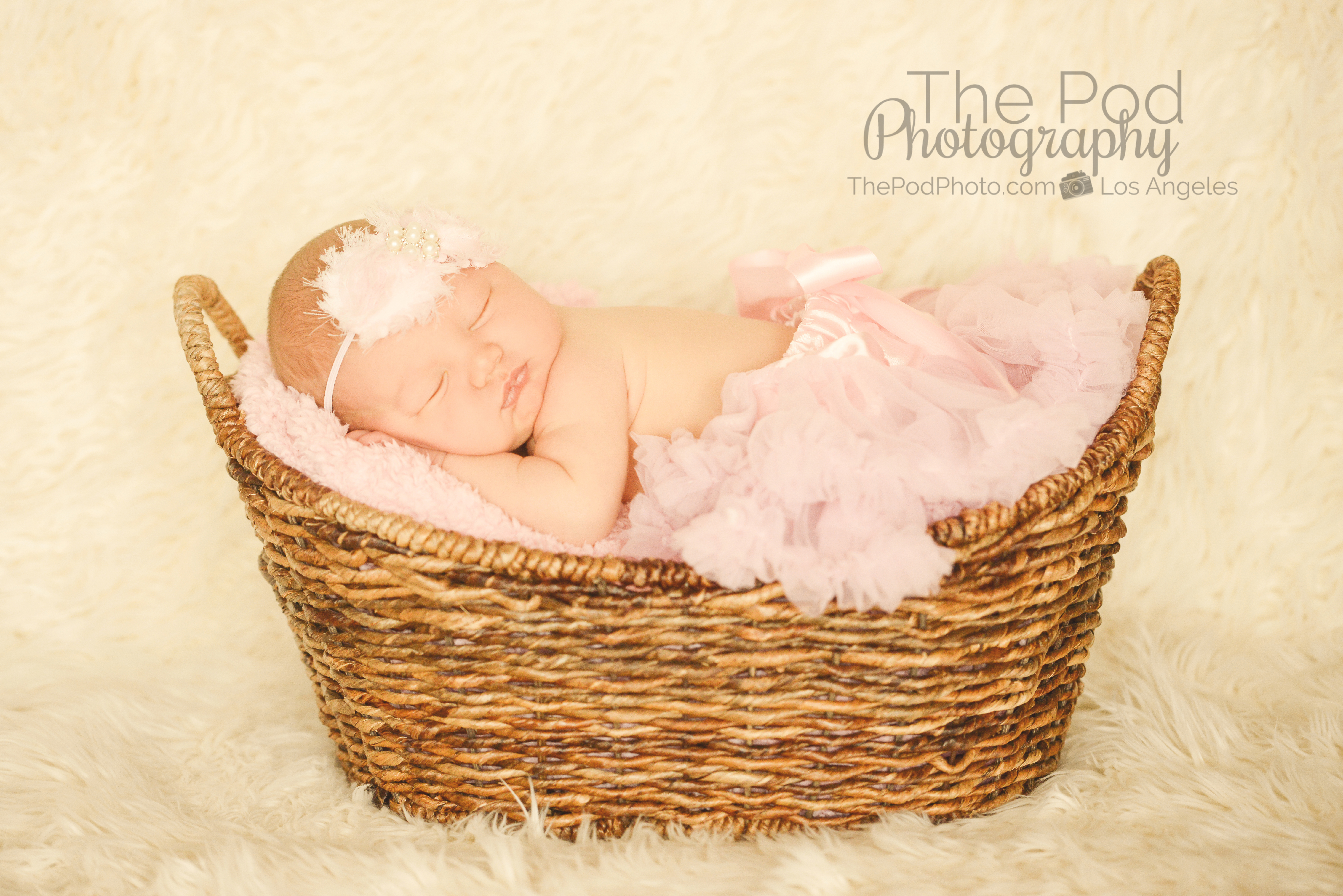 newborn posing basket