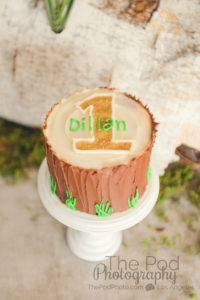 Cake-Smash-First-Birthday-Photos-Los-Angeles