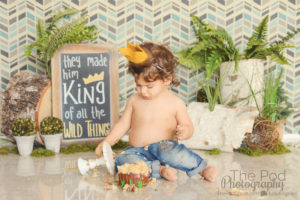 Los-Angeles-Where-The-Wild-Things-Are-Birthday-Theme