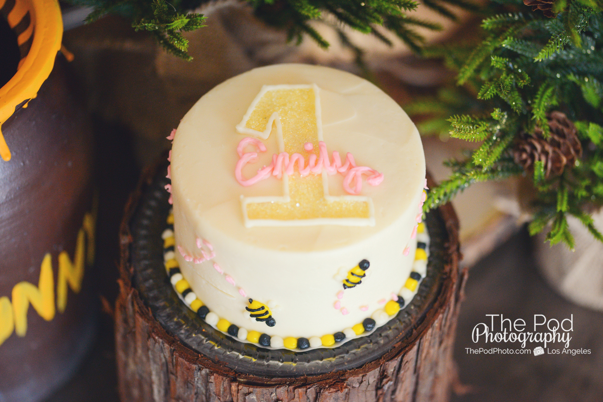 Peek-a-Boo Berry Smash Cake  First Birthday Party - Little Rusted