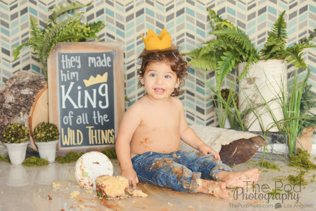 West Los Angeles First Birthday Photographer Twin Boys Smash Cake