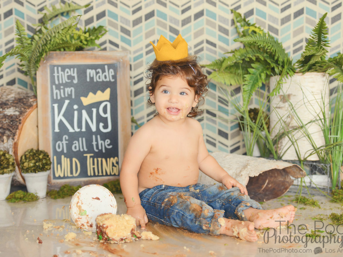 Where The Wild Things Are First Birthday Cake Smash Los Angeles One Year Old Custom Portrait Photography Los Angeles Based Photo Studio The Pod Photography Specializing In Maternity Newborn Baby First Birthday