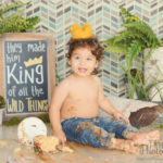Where-The-Wild-Things-Are-First-Birthday-Cake-Smash-Los-Angeles
