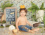 Where-The-Wild-Things-Are-First-Birthday-Cake-Smash-Los-Angeles