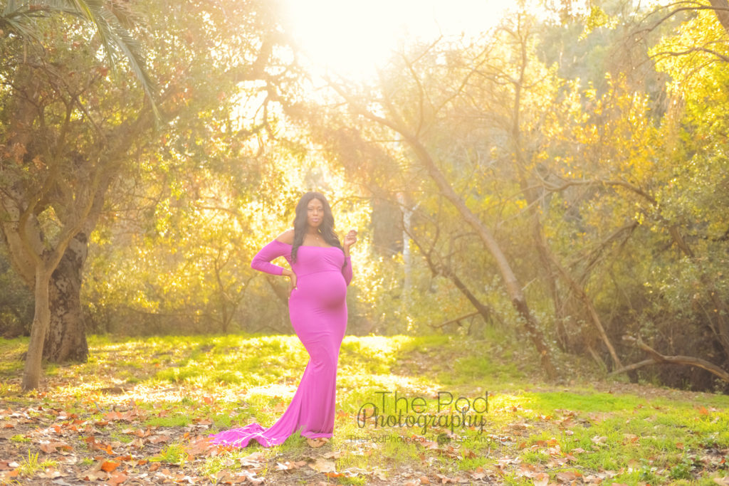 Best Maternity Photographer Pasadena Professional Pregnancy