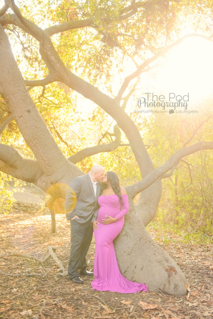 Best Maternity Photographer Pasadena Professional Pregnancy