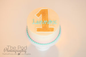 smash-cake-susiecakes-one-year-portraits