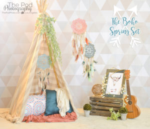 spring-photo-sessions-los-angeles-boho-chic-bohemian-baby-teepee-dreamcatcher-bullhead-flowers-succulents-gypsy-wild-child