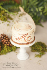 custom-smash-cake-baby-portraits-los-angeles