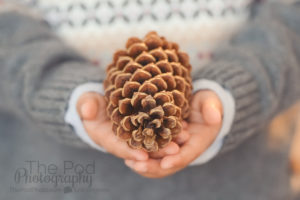 Detail-Portraits-Pinecone-Kids-Hands