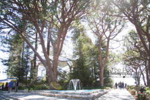 Exterior Photo of Wayfarer's Chapel in Rancho Palos Verdes