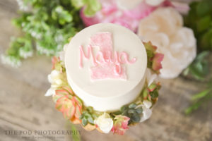 Top-Tier-Treats-Smash-Cake-Westchester-First-Birthday-Photography (6)