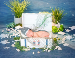 baby-shark-baby-photo-set