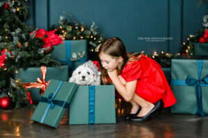 holiday-mini-sessions-santa-monica