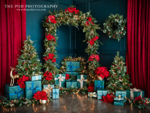 the-pod-photography-2024-holiday-set