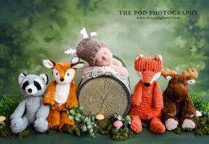newborn-photoshoot-baby-wilderness-theme
