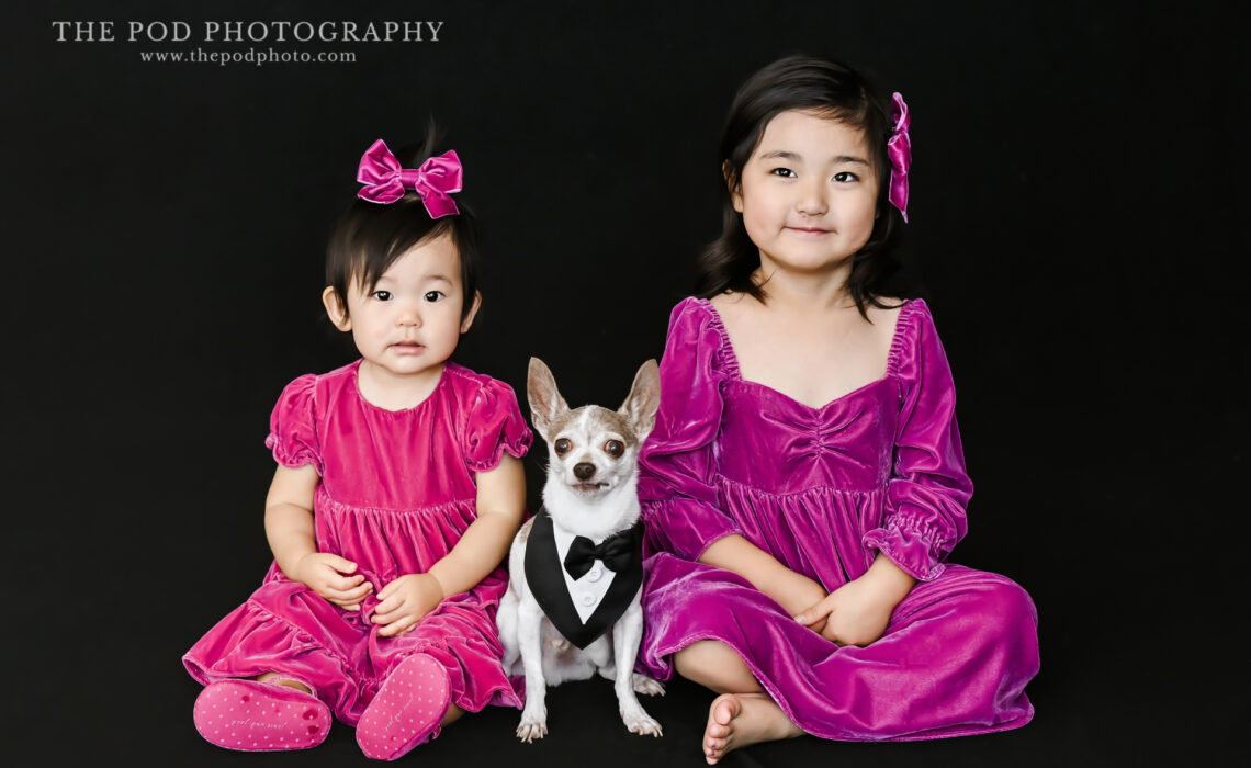 sisters-chihuahua-modern-family-photoshoot
