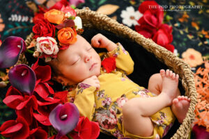 The-Pod-Photography-Palos-Verdes-Frida-Baby-Session