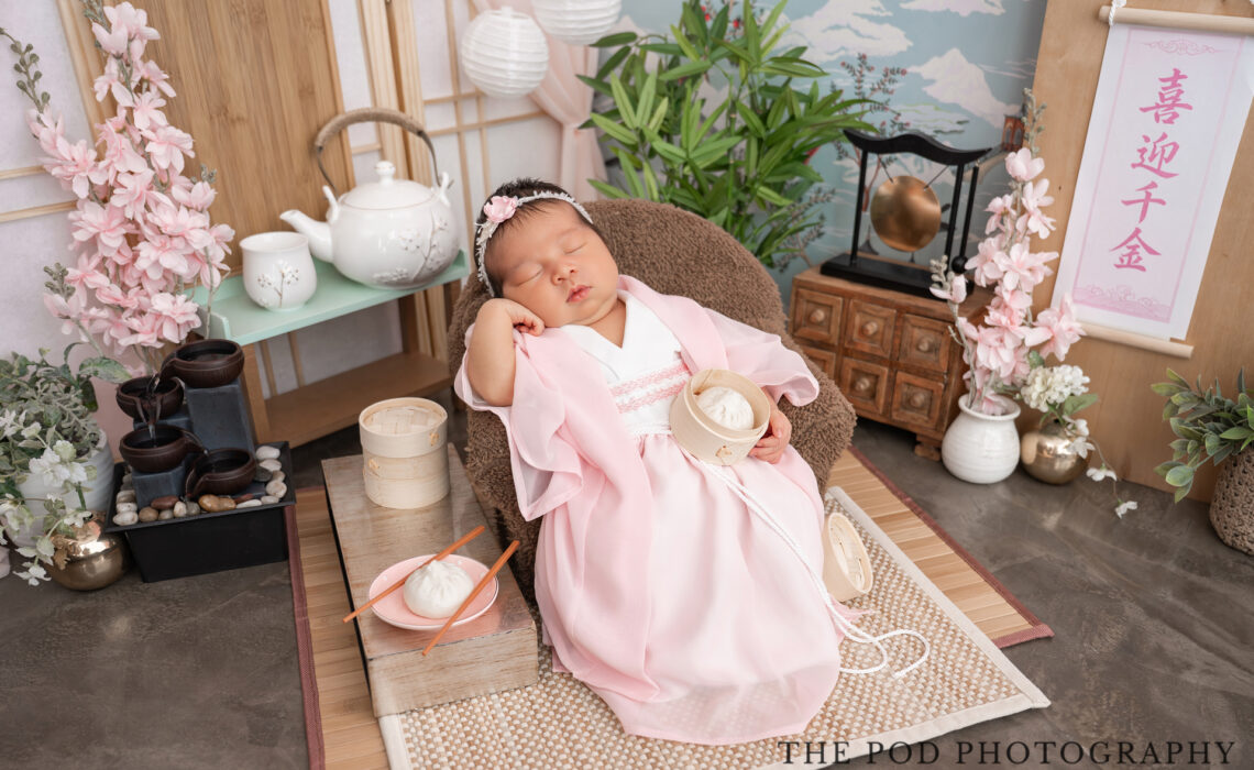 santa monica newborn photographer